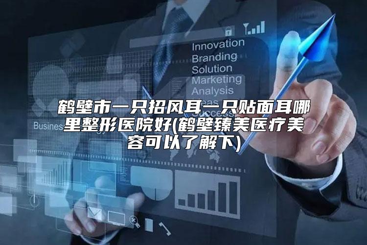 鹤壁市一只招风耳一只贴面耳哪里整形医院好(鹤壁臻美医疗美容可以了解下)
