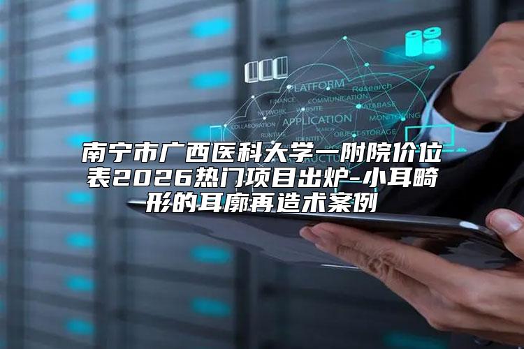 南宁市广西医科大学一附院价位表2026热门项目出炉-小耳畸形的耳廓再造术案例