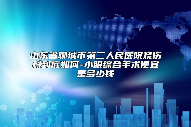 山东省聊城市第二人民医院烧伤科到底如何-小眼综合手术便宜是多少钱
