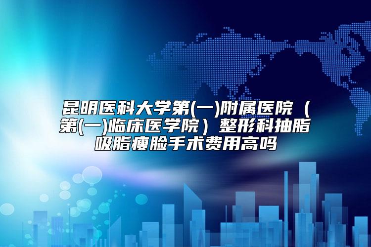 昆明医科大学第(一)附属医院（第(一)临床医学院）整形科抽脂吸脂瘦脸手术费用高吗