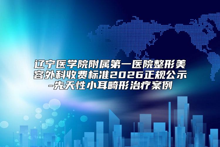 辽宁医学院附属第一医院整形美容外科收费标准2026正规公示-先天性小耳畸形治疗案例